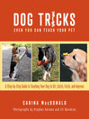 Cover image for Dog Tricks Even You Can Teach Your Pet